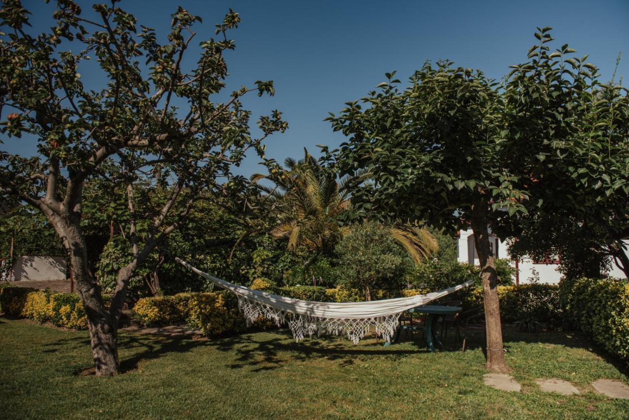 Casa De Marlaes Villa Lousada Dış mekan fotoğraf