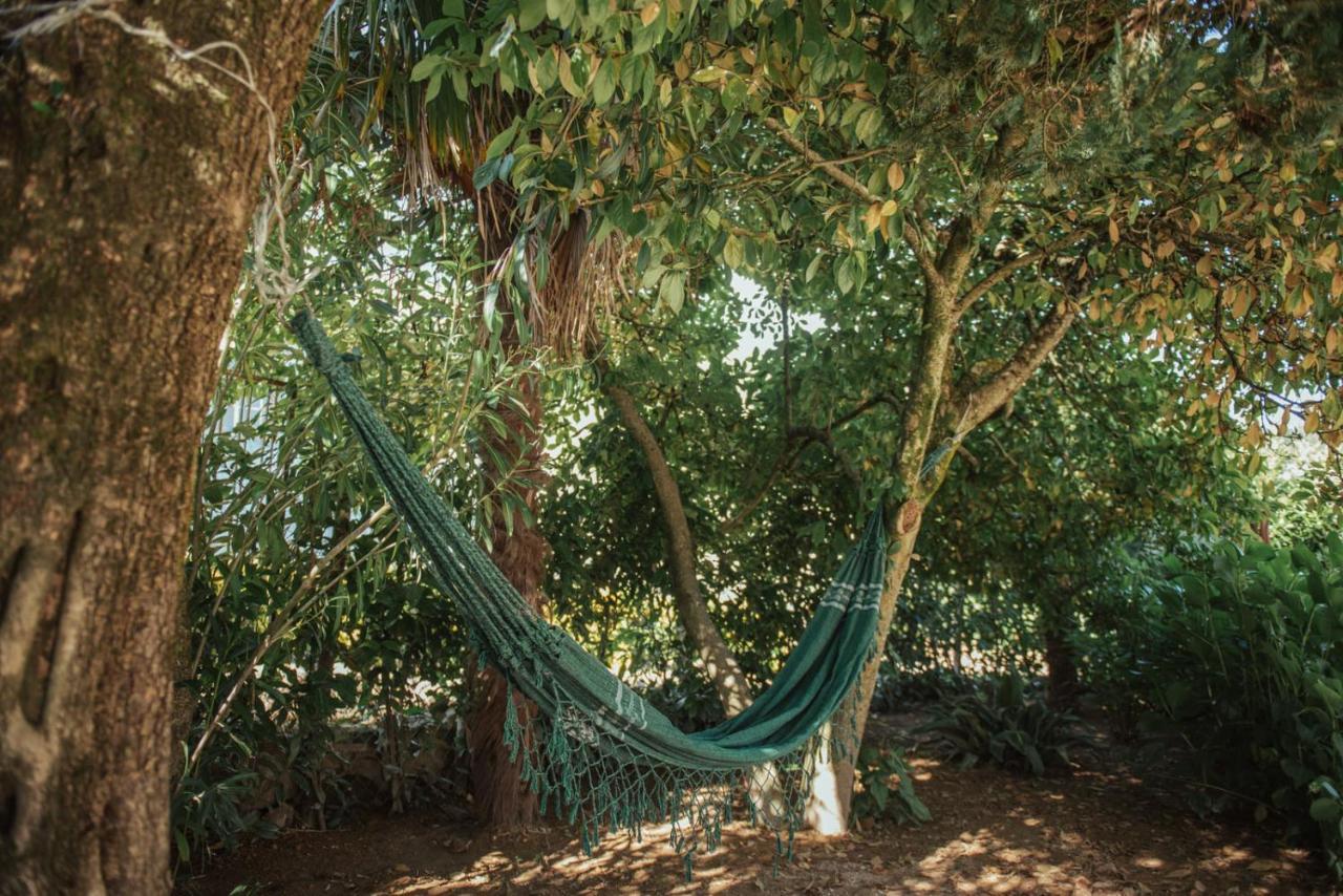 Casa De Marlaes Villa Lousada Dış mekan fotoğraf