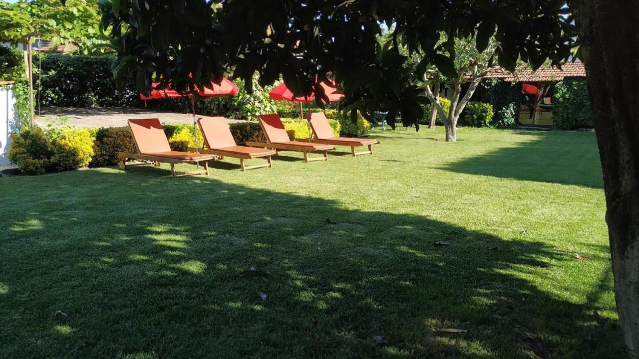 Casa De Marlaes Villa Lousada Dış mekan fotoğraf