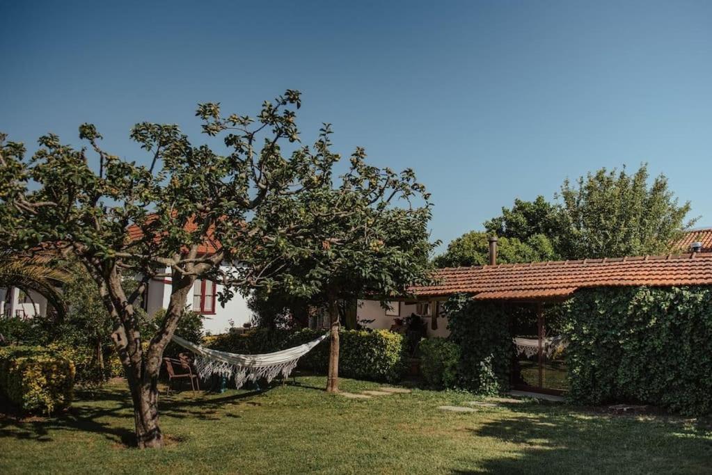 Casa De Marlaes Villa Lousada Dış mekan fotoğraf