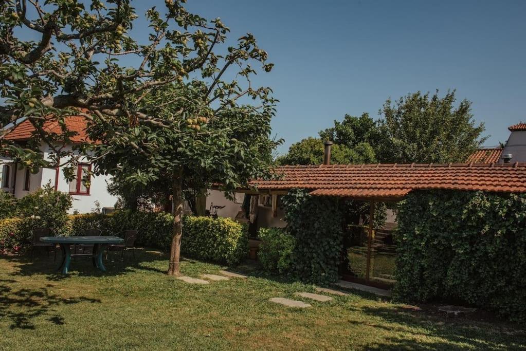 Casa De Marlaes Villa Lousada Dış mekan fotoğraf