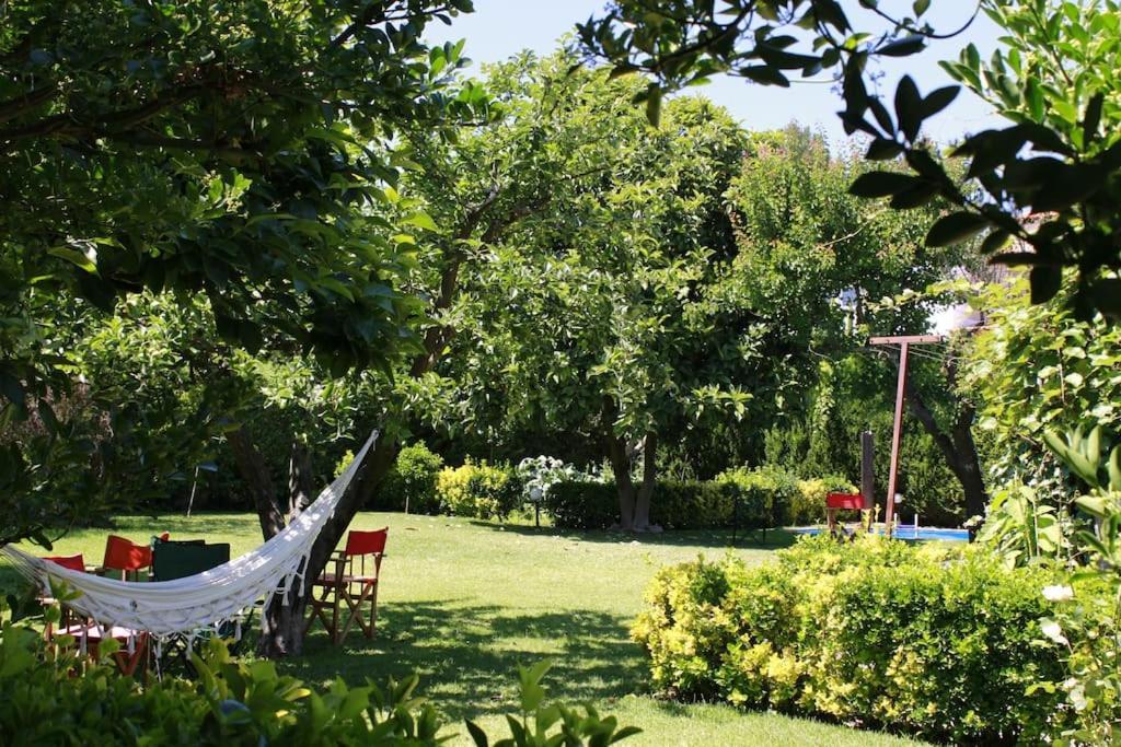 Casa De Marlaes Villa Lousada Dış mekan fotoğraf