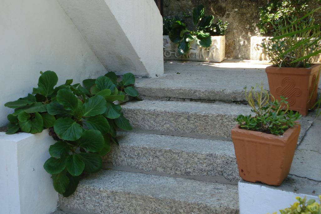 Casa De Marlaes Villa Lousada Dış mekan fotoğraf