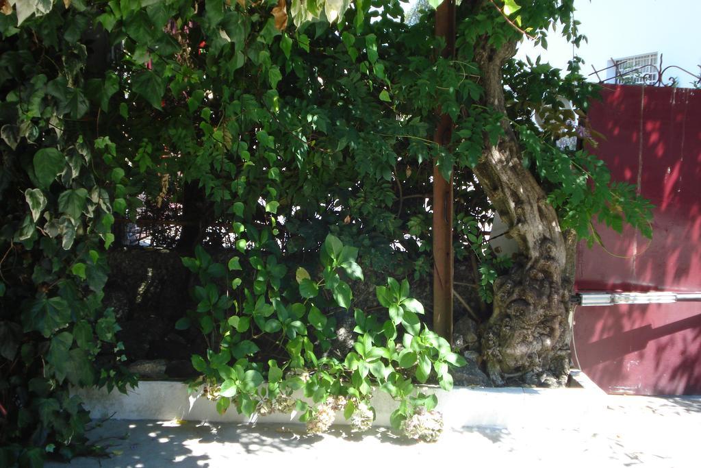 Casa De Marlaes Villa Lousada Dış mekan fotoğraf